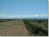 5 Acres Colorado Land