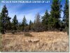Oregon Land, 2.30 Acres