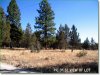 2.3 Acres Oregon Land