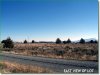 1.5 Acres Oregon Land