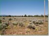 1.4 Acres Oregon Land
