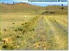 Colorado Land, 5 Acres