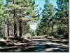 Oregon Land for Sale