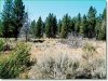 2.47 Acres of Oregon Land for Sale
