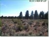 2.30 Acres of Oregon Land