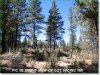 2 Acres of Oregon Land for Sale