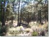 Oregon Land for Sale, 2 Acres
