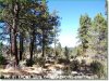 Oregon Land for Sale, 2.0 Acres