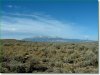 5.0 Acres of Cheap Colorado Land