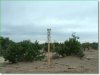 5 Acres Colorado Land