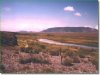 5.0 Acres of Cheap Colorado Land