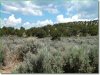 5 Acres of Colorado Land for Sale