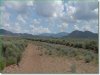 Colorado Land for Sale