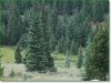 6 Acres Colorado Land