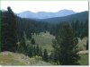 6 Acres Colorado Land
