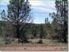 2.3 Acres of Oregon Land for Sale