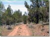 Oregon Land, 2.3 Acres