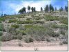 Oregon Land for Sale