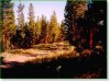 2.2 Acres of Oregon Land for Sale