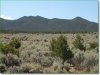 5.25 Acres of Colorado Land for Sale