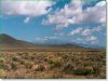 80 Acres Colorado Land