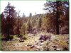 Oregon Land, 2 Acres