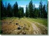 Oregon Land, 9.99 Acres