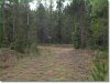 Colorado Land for Sale