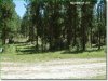 1.50 Acres of Oregon Land for Sale