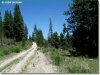 Oregon Land for Sale, $163 per month 1.5 Acres Oregon Land