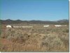 Colorado Land for Sale