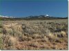 5 Acres Colorado Land