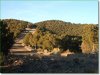 Colorado Land, 5 Acres