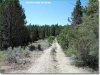 Oregon Land, 1.50 Acres