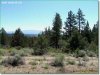 1.50 Acres Oregon Land
