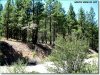 1.50 Acres of Oregon Land for Sale 1.50 Acres Oregon Land