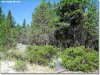 Oregon Land for Sale, 1.50 Acres