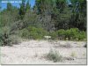 1.10 Acres Oregon Land