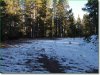 1 Acre of Colorado Land for Sale