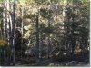 Colorado Land, 1 Acre