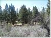 2.3 Acres Oregon Land