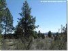 Oregon Land for Sale, 2.3 Acres