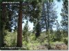 Oregon Land for Sale