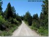 2.3 Acres of Oregon Land for Sale