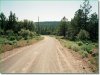 2.3 Acres Oregon Land