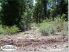 2.10 Acres of Oregon Land