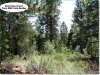 Oregon Land