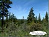 Cheap Oregon Land, 34.70 Acres