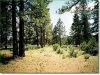 2.30 Acres of Oregon Land