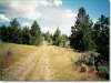 Oregon Land